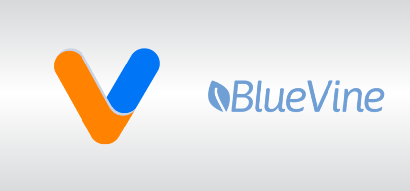 Veem partners with BlueVine to give small businesses access to working capital