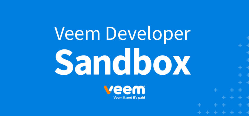 Introducing Veem’s Developer Sandbox