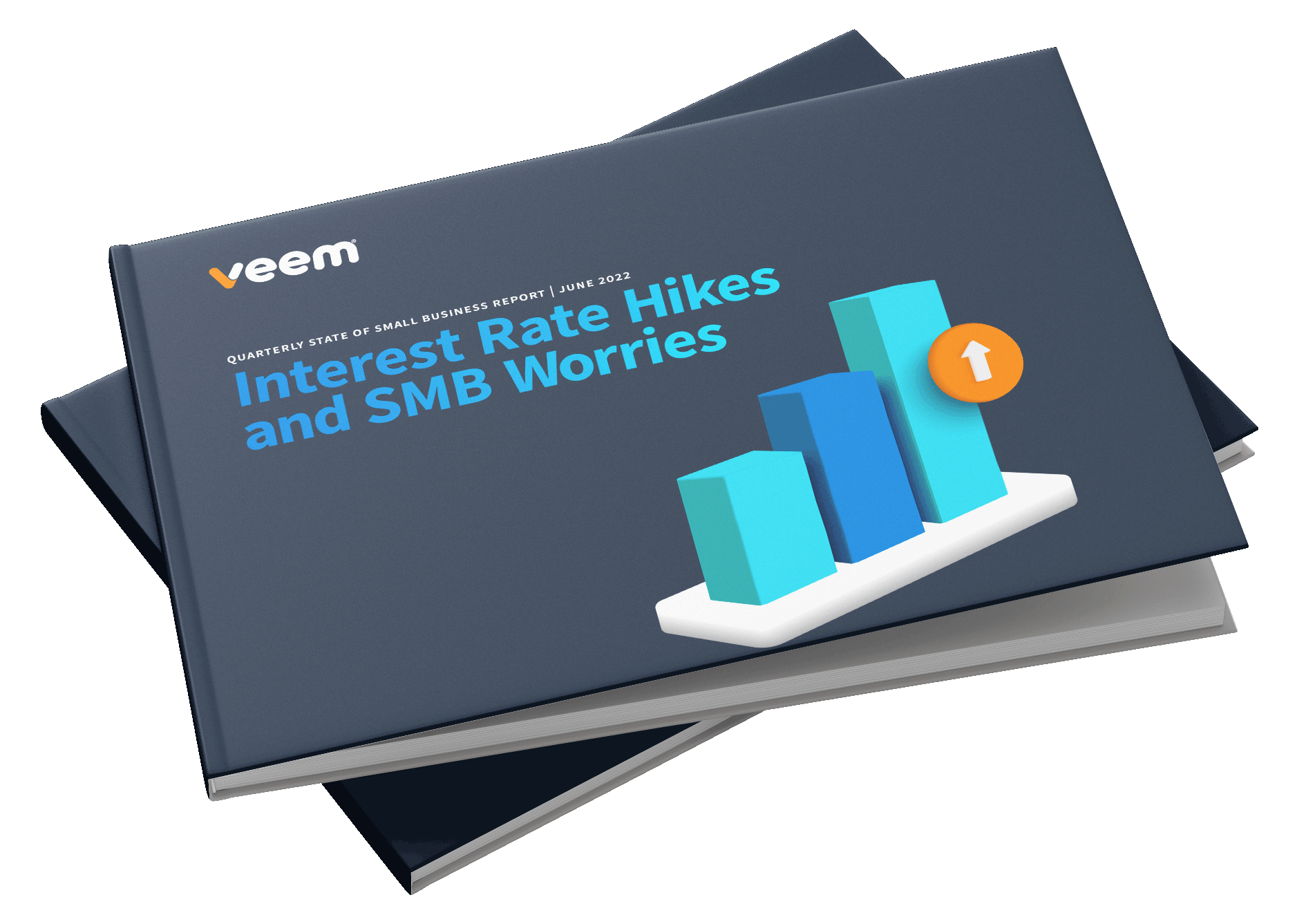 State of Small Business Report - Veem